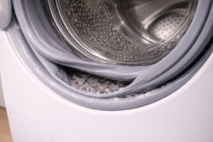 Lint and detergent residue inside washing machine door seal fold