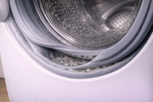 Mould and detergent buildup inside washing machine door seal fold