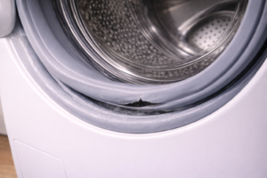 Torn washing machine door seal showing visible damage along lower edge